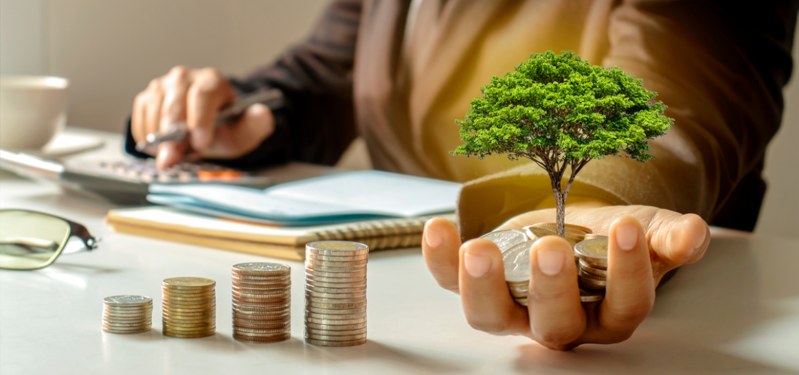 Investment Sourcing
